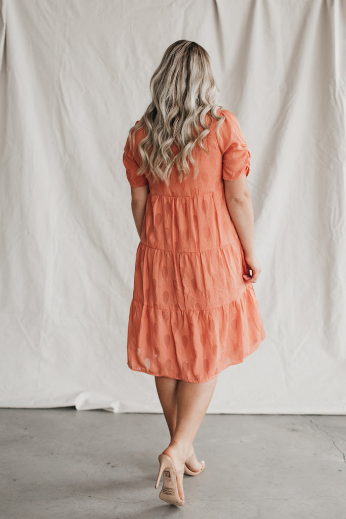 Isabella Ruffle Dress in Apricot